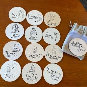 Winnie the Pooh Birth Milestone Wooden Discs
